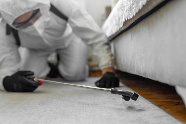 Professional Bed Bug Control technician working in West Orange, TX
