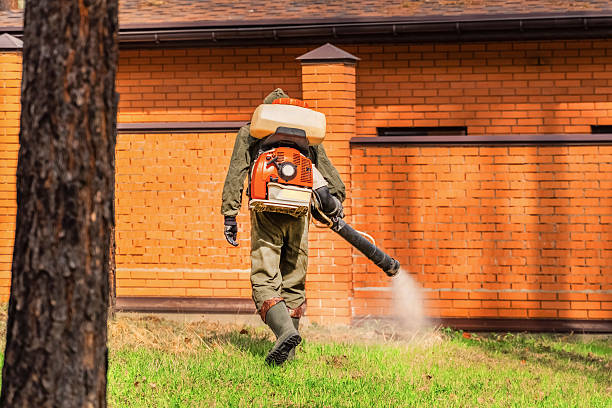 Trusted Ant Control service in West Orange, TX - Nex Pest Control